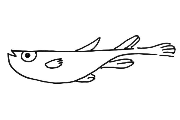关于鲈鱼的简笔画