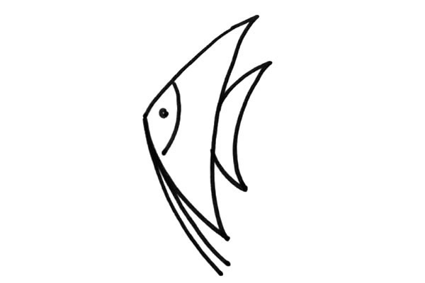 简单的海鱼怎么画