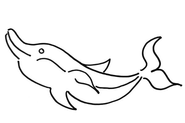 教你画简单的海豚