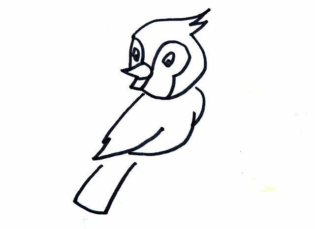 漂亮的小鸟简笔画带涂色