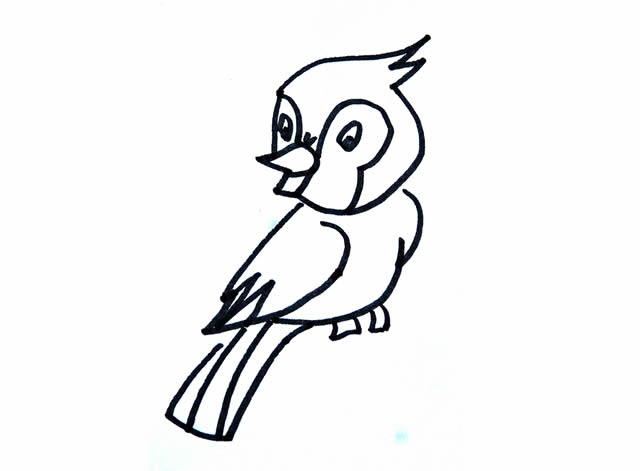 漂亮的小鸟简笔画带涂色