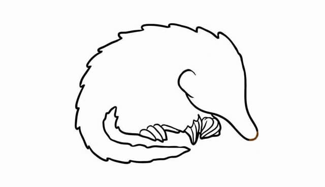 穿山甲怎么画 涂色的穿山甲简笔画教程