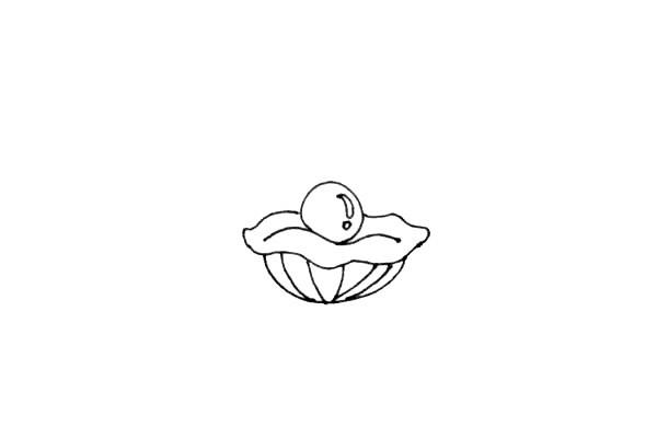 漂亮的珍珠贝壳简笔画步骤