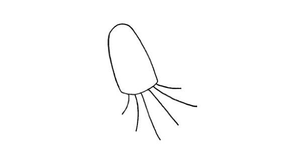 水母怎么画 水母的简单画法