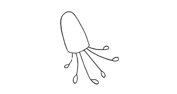 水母怎么画 水母的简单画法