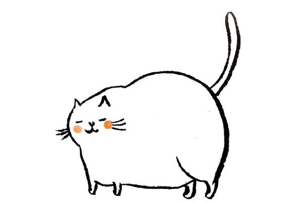 一组简单易学的肥猫简笔画大全