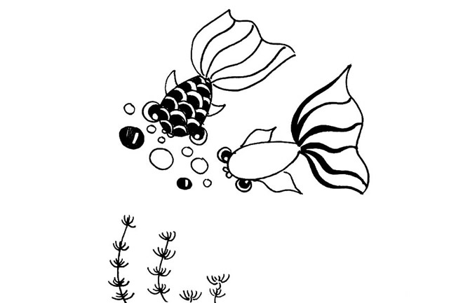 海底漂亮的金鱼简笔画