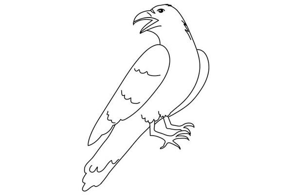 儿童学画乌鸦简笔画
