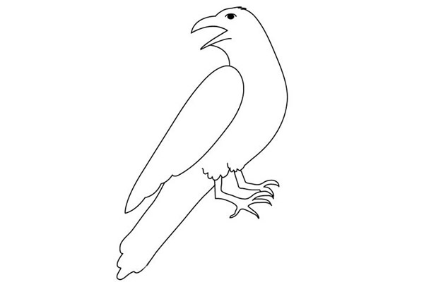 儿童学画乌鸦简笔画
