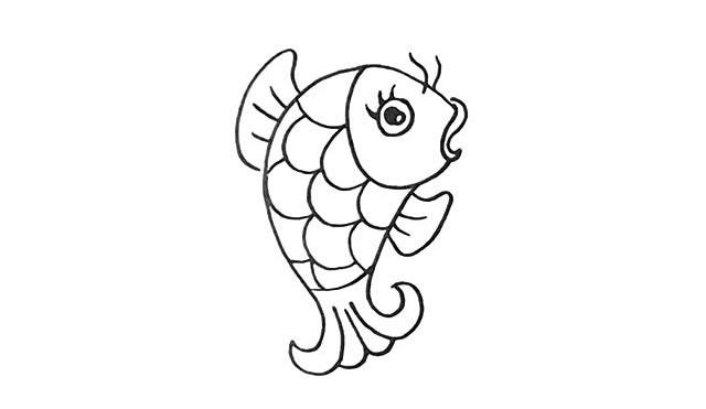 鲤鱼怎么画 漂亮的彩色鲤鱼简笔画