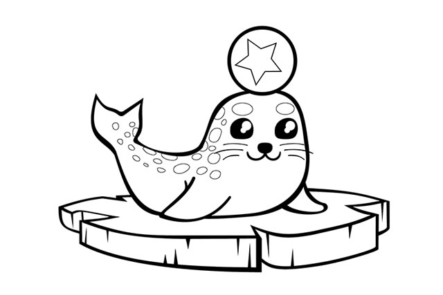 浮冰上的海豹简笔画