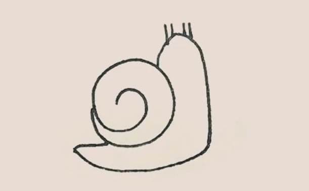 一步步教你画简单的蜗牛