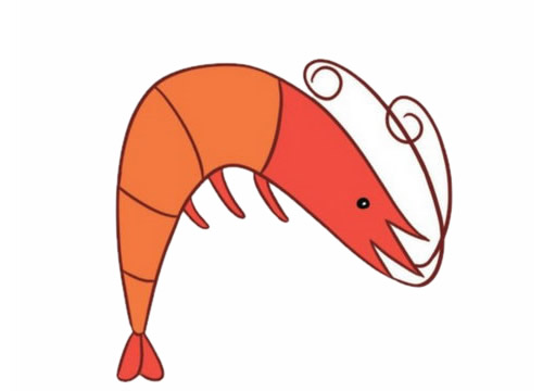 红色小虾简笔画