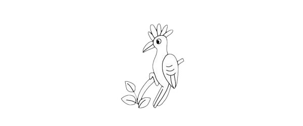 关于戴胜鸟的简笔画