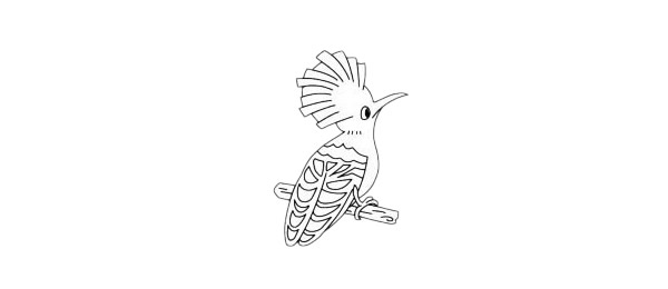 戴胜鸟儿童简笔画