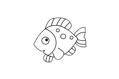 海洋生物热带鱼简笔画