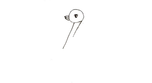 教你用数字9画可爱的鸵鸟