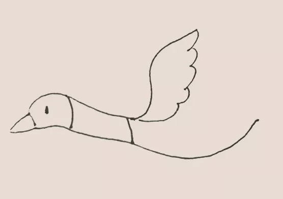 大雁简笔画教程【涂色】