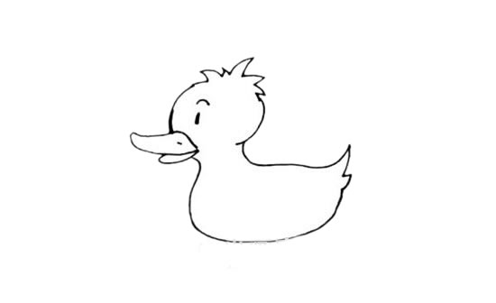 水中的小黄鸭简笔画教程