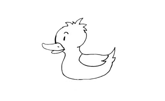 水中的小黄鸭简笔画教程