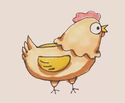 涂色的母鸡简笔画教程