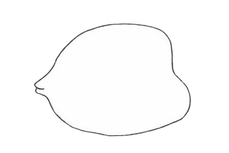 可爱的鲽鱼简笔画步骤
