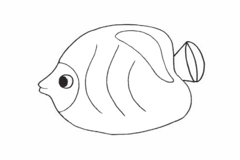 可爱的鲽鱼简笔画步骤
