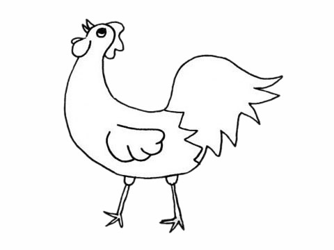 大公鸡的简单画法