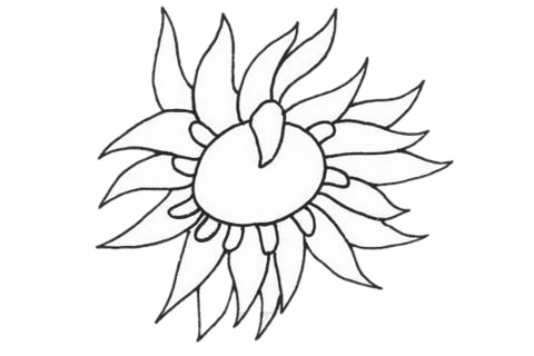 海葵简笔画步骤教程