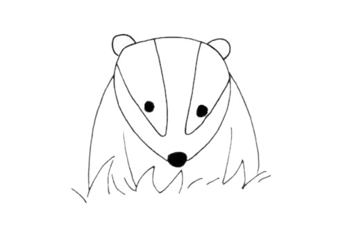 獾的简笔画步骤教程