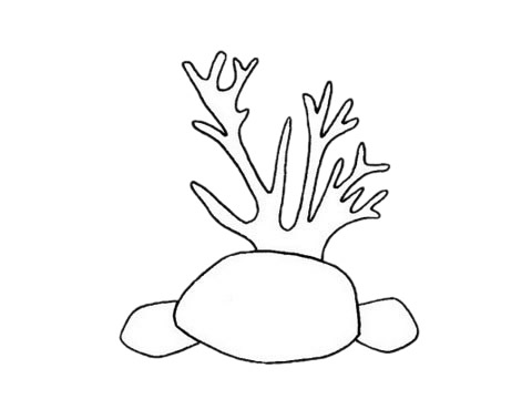 珊瑚怎么画最简单