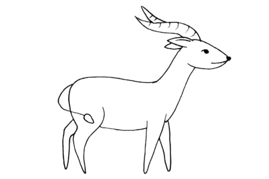 关于山羊的简笔画