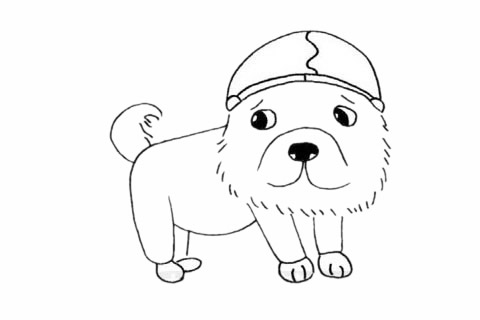 卡通松狮犬简笔画