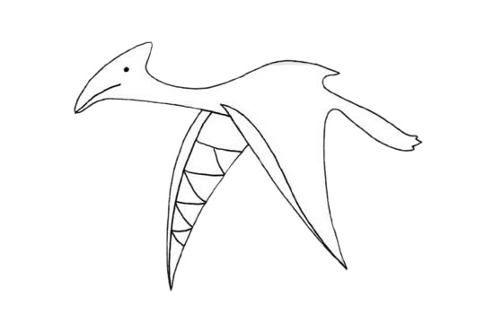 关于翼龙的简笔画
