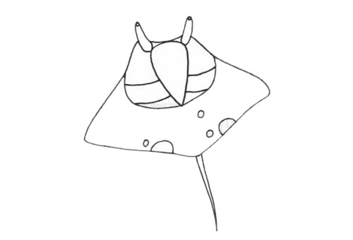 鳐鱼简笔画步骤
