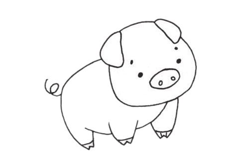 小猪简笔画怎么画