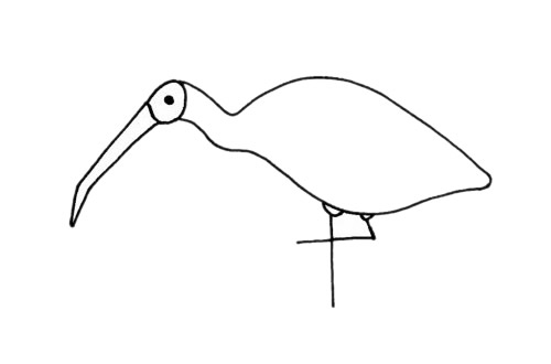 朱鹮简笔画步骤