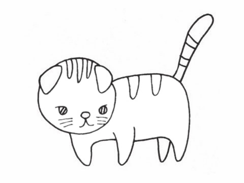 关于折耳猫的简笔画