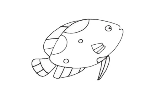 热带鱼简笔画步骤