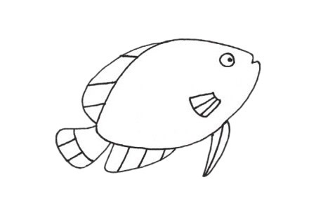 热带鱼简笔画步骤