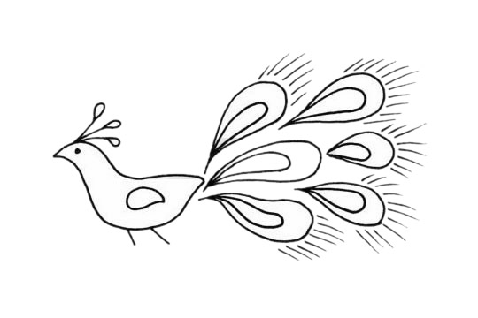 孔雀儿童简笔画