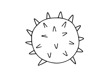 海胆儿童简笔画