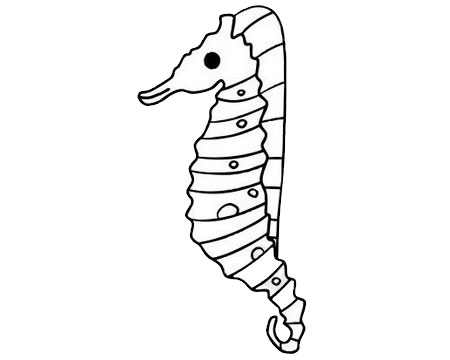 海马的简单画法