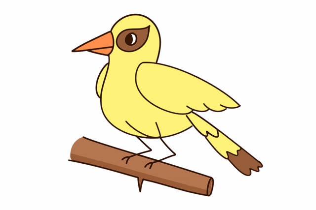 站在树枝上的黄鹂鸟简笔画