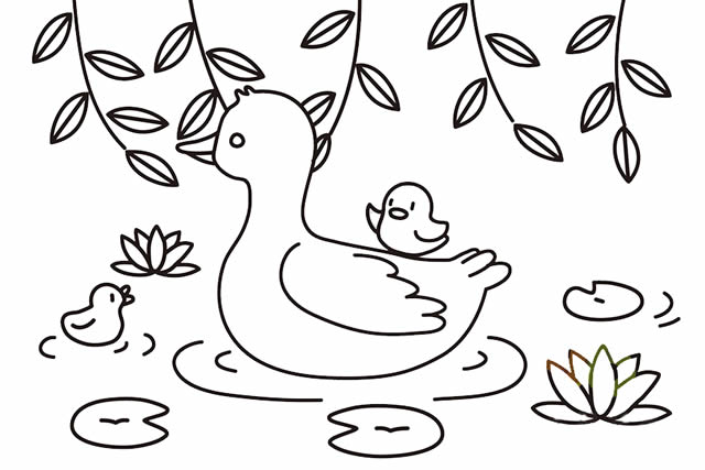 池塘里鸭妈妈和鸭宝宝的简笔画
