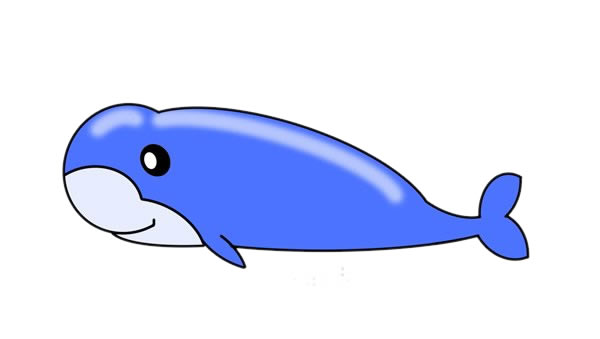 可爱的鲸鱼卡通简笔画
