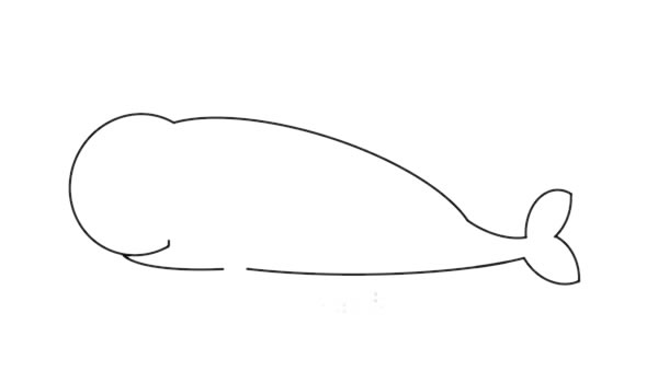 可爱的鲸鱼卡通简笔画