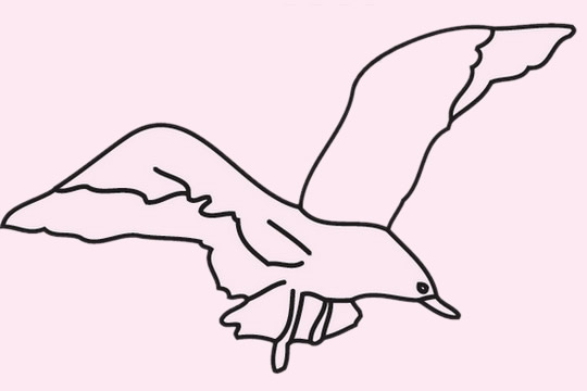 海鸥怎么画最简单