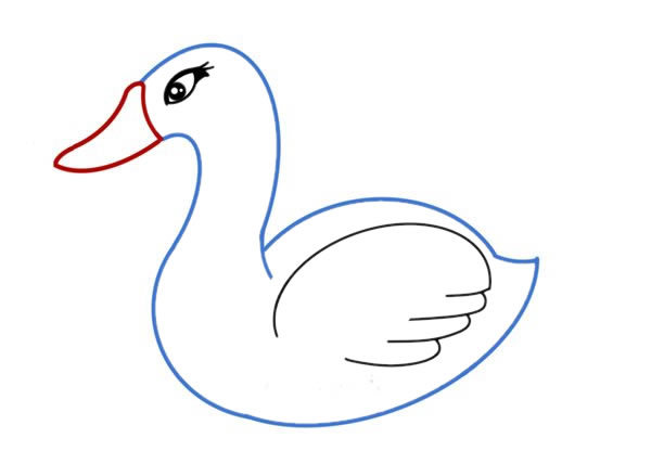 白天鹅简笔画画法步骤