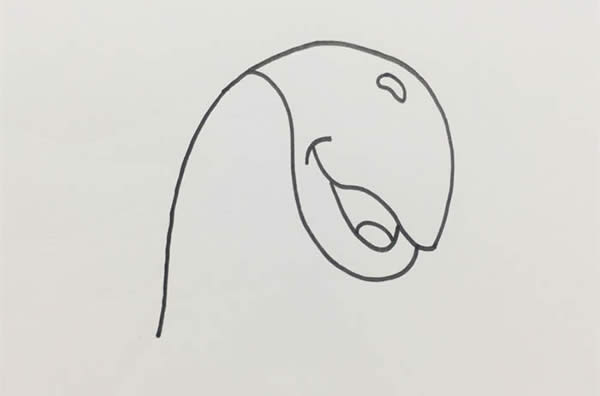 五颜六色的鹦鹉简笔画教程